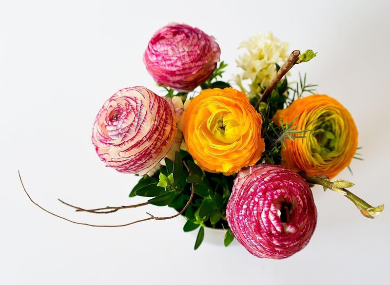 Tin Can Planters