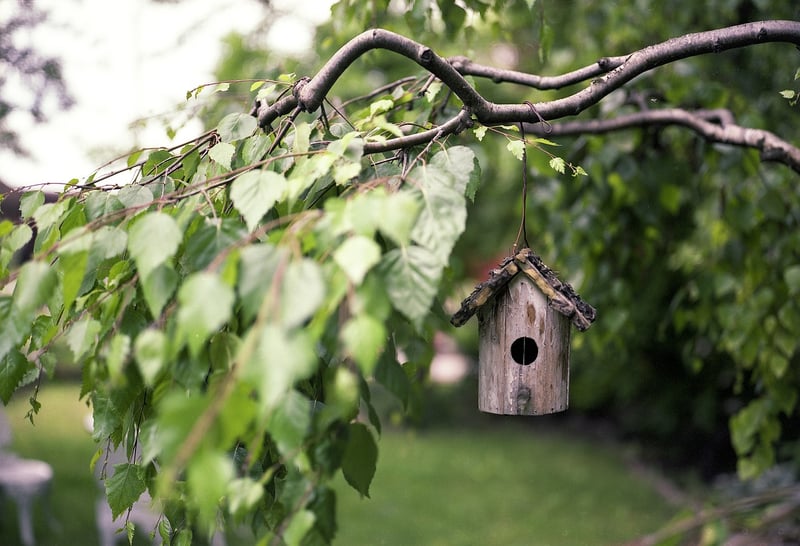 Wine Bottle Bird Feeder